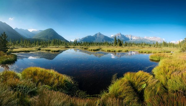 Les gîtes pour les amateurs de vin